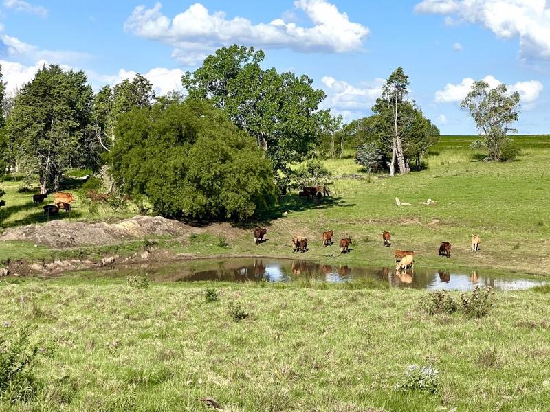 0 Bedroom Property for Sale in Bethlehem Rural Free State
